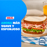 MASUAVE1000X1000